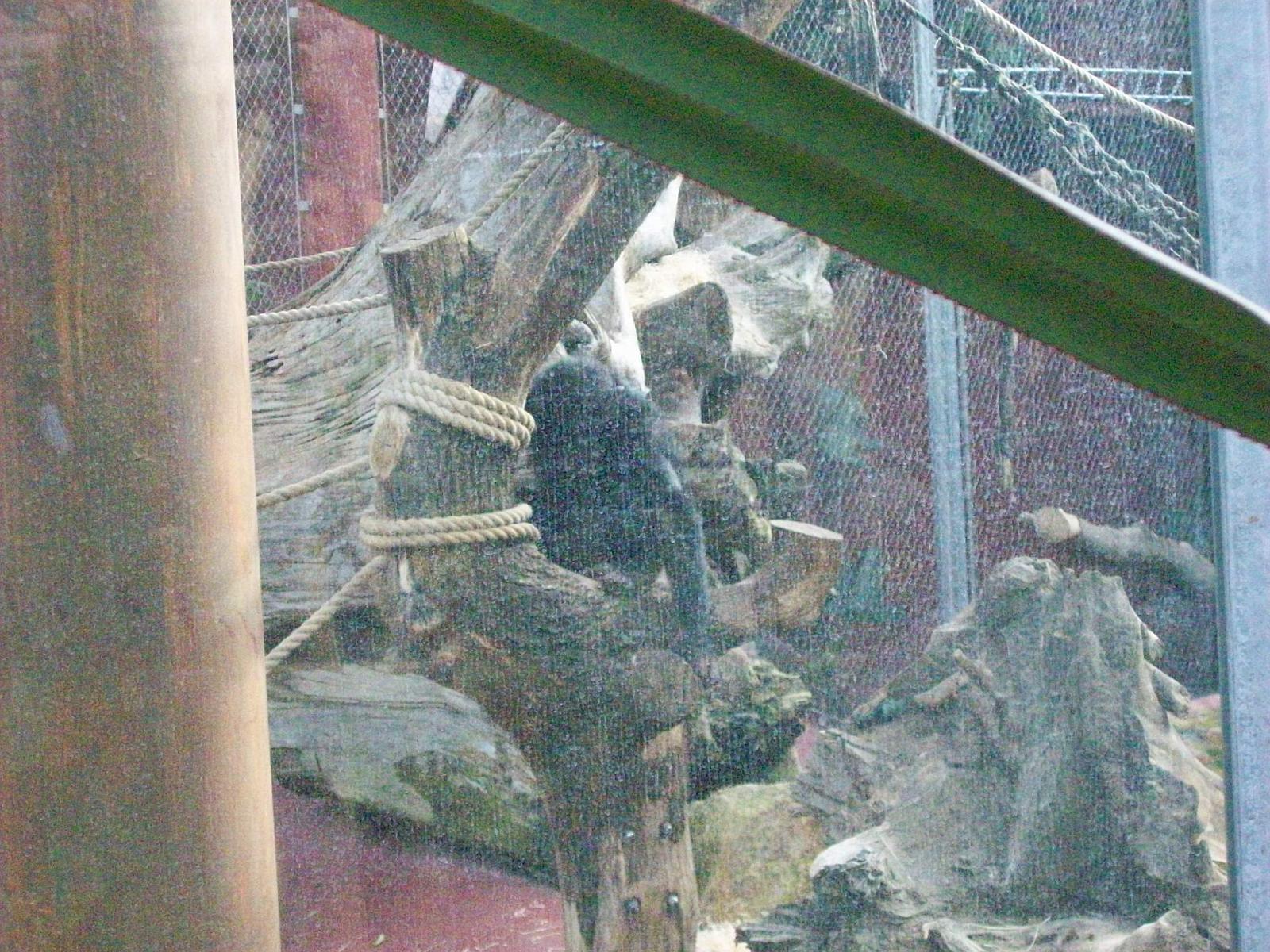 Zoom 18.10.2008-199.jpg